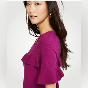 Ann Taylor - Large Purple Chevron Ruffle Sweater Dress